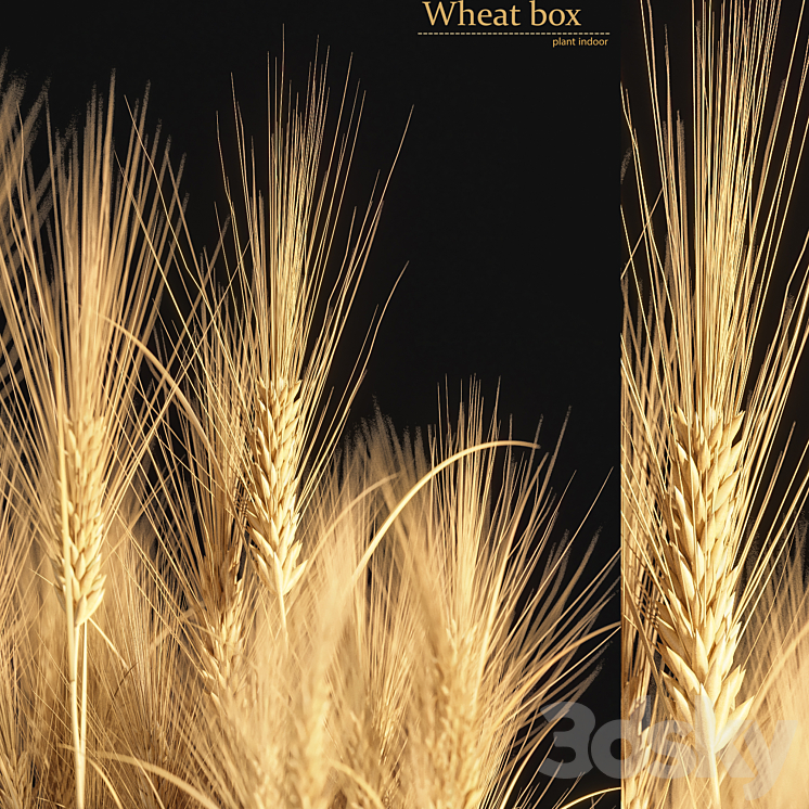 Wheat Box 3DS Max - thumbnail 2