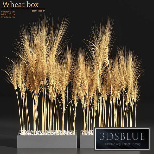 Wheat Box 3DS Max - thumbnail 3