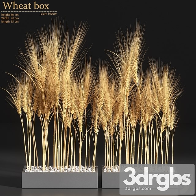 Wheat box - thumbnail 1