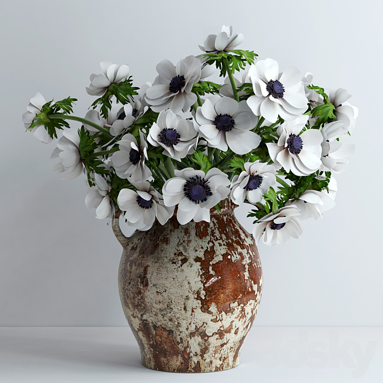 White anemones 3DS Max - thumbnail 1