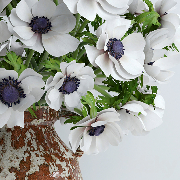 White anemones 3DS Max - thumbnail 2