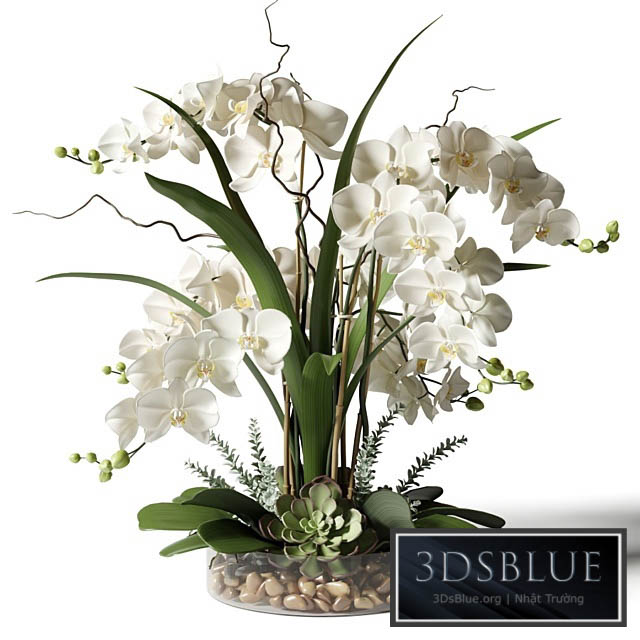 White orchids in a glass vase with stones 3DS Max - thumbnail 3