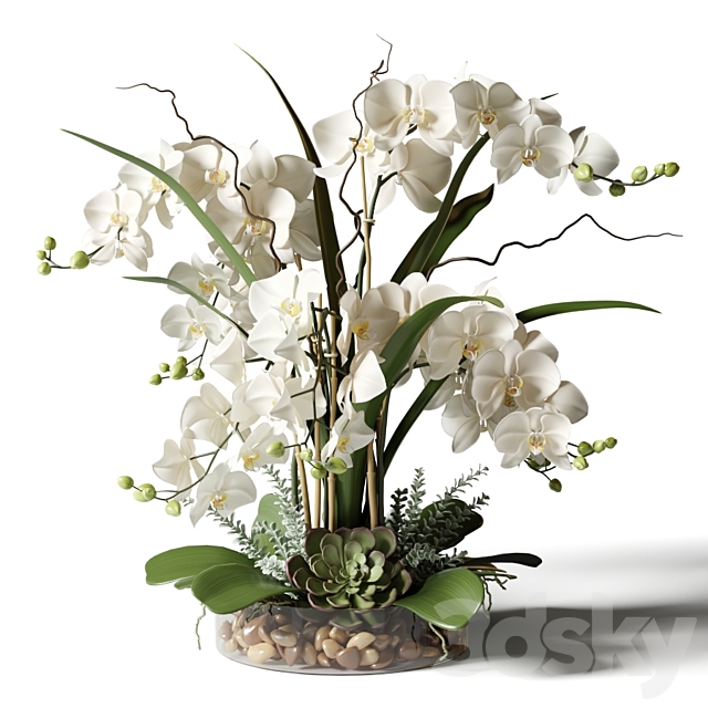 White orchids in a glass vase with stones 3DSMax File - thumbnail 2