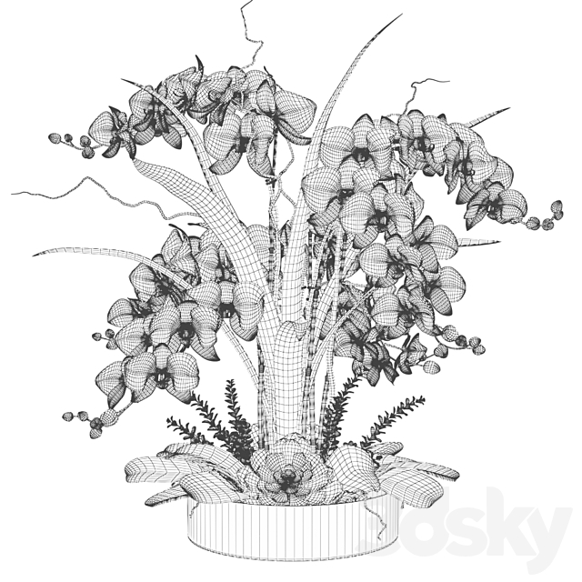 White orchids in a glass vase with stones 3DSMax File - thumbnail 3