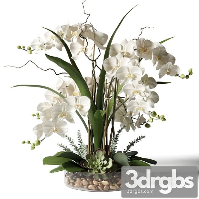 White orchids in a glass vase with stones - thumbnail 1