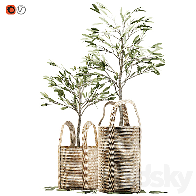 Wicker basket containing the delicate olive tree in pastel tones 3DS Max Model - thumbnail 1