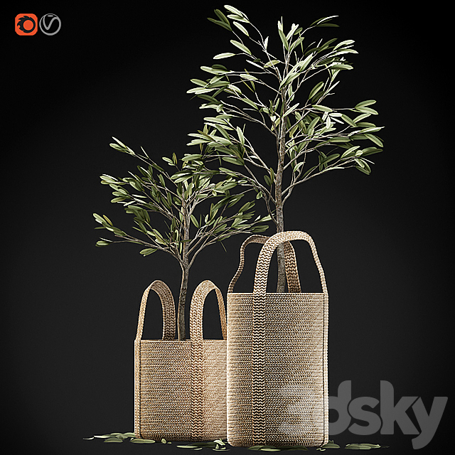 Wicker basket containing the delicate olive tree in pastel tones 3DS Max Model - thumbnail 2