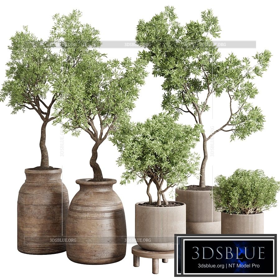 wood collection indoor outdoor plant 141 vase concrete old pot tree vray 3DS Max - thumbnail 3