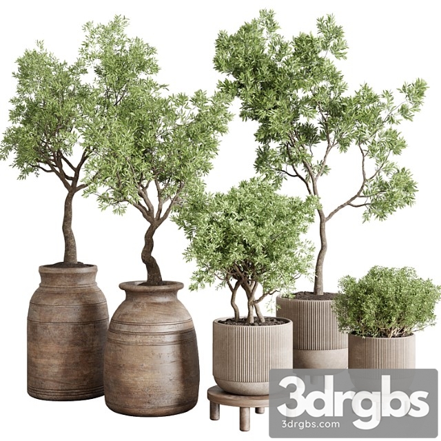 Wood collection indoor outdoor plant 141 vase concrete old pot tree vray - thumbnail 1