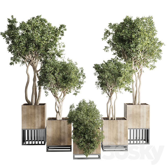 wooden Box Plants on Stand – collection of houseplants indoor 193 3ds Max - thumbnail 1