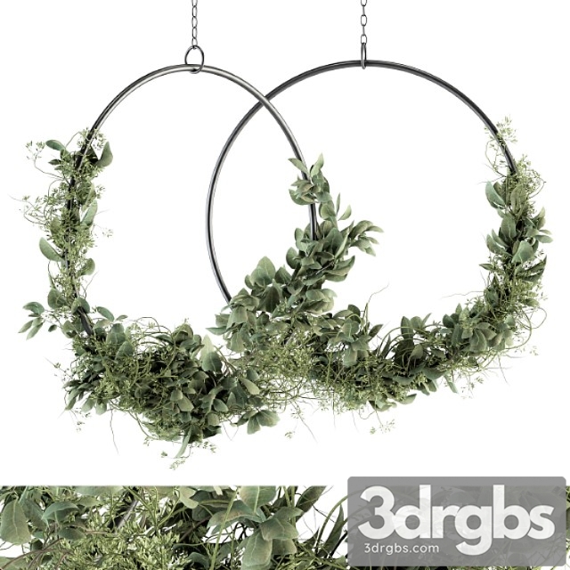 Wreath olive plants – wreath set 07 - thumbnail 1