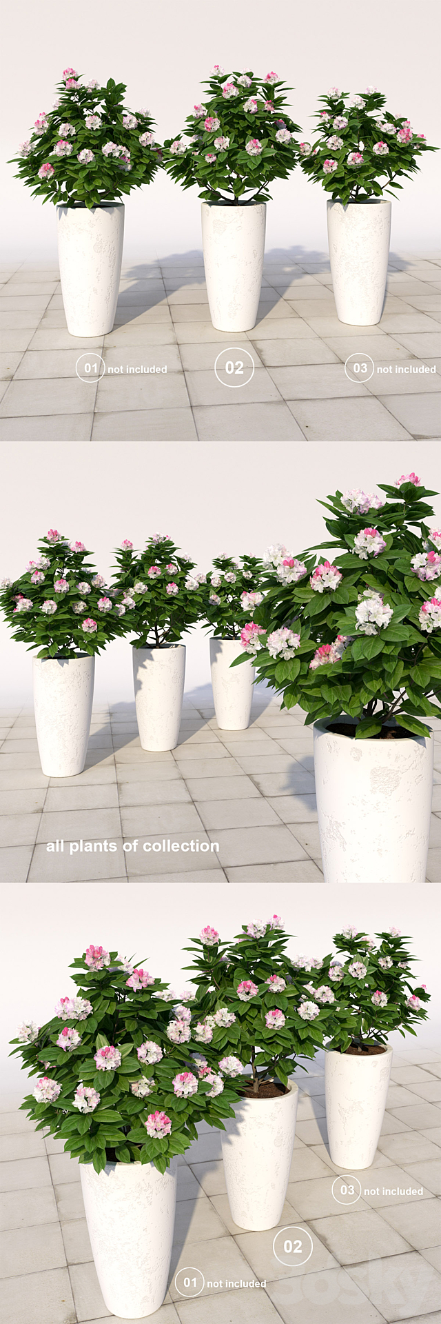 02 Rhododendron blossoming _ Rhododendron 3DSMax File - thumbnail 3