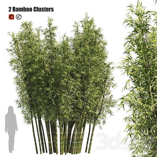 2 Bamboo Clusters 3DSMax File - thumbnail 1