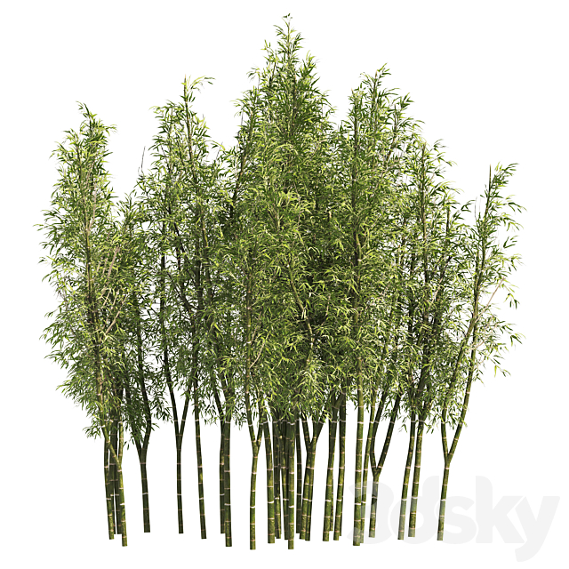 2 Bamboo Clusters 3DSMax File - thumbnail 2