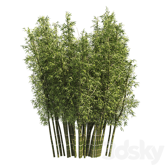 2 Bamboo Clusters 3DSMax File - thumbnail 3