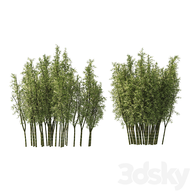 2 Bamboo Clusters 3DSMax File - thumbnail 4