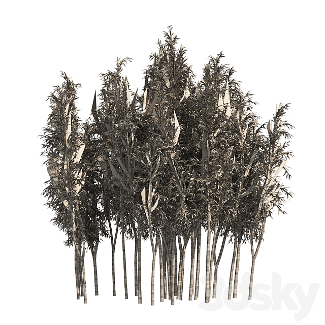 2 Bamboo Clusters 3DSMax File - thumbnail 6