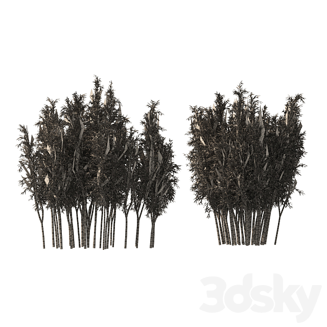 2 Bamboo Clusters 3DSMax File - thumbnail 7