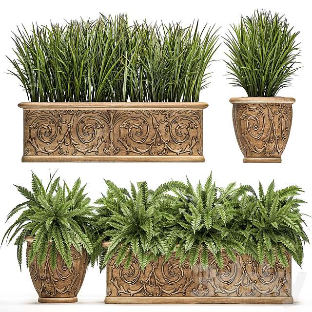 A collection of plants in classic outdoor pots vases with monograms with ferns. bushes. grass. flowerbed. Set 496. 3DSMax File - thumbnail 1