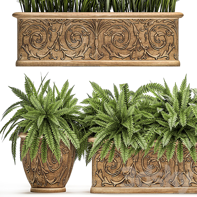 A collection of plants in classic outdoor pots vases with monograms with ferns. bushes. grass. flowerbed. Set 496. 3DSMax File - thumbnail 2