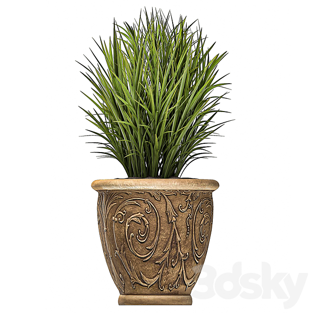 A collection of plants in classic outdoor pots vases with monograms with ferns. bushes. grass. flowerbed. Set 496. 3DSMax File - thumbnail 3