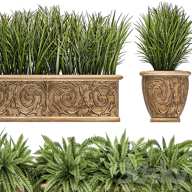 A collection of plants in classic outdoor pots vases with monograms with ferns. bushes. grass. flowerbed. Set 496. 3DSMax File - thumbnail 4