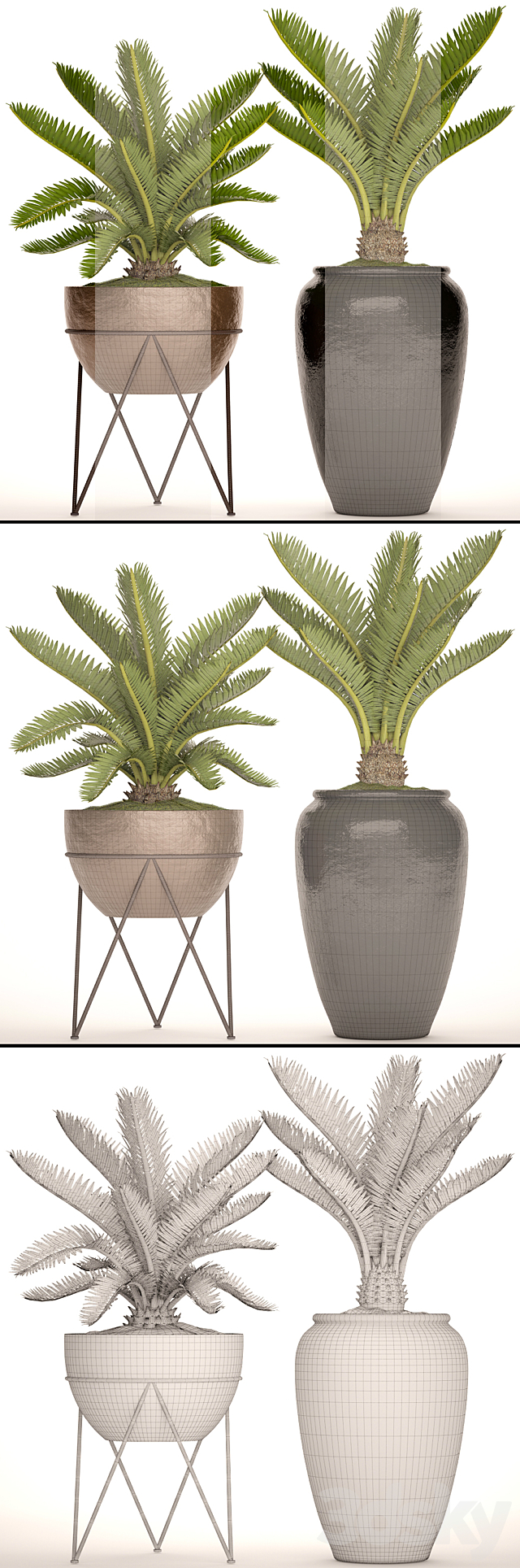 A collection of plants in pots. 54 Cycas cycad pot flowerpot bush outdoor decorative 3ds Max - thumbnail 3