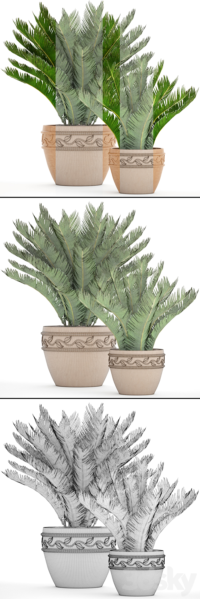 A collection of plants in pots. 71. Cycas cycad cycas palm tree bush clay pot clinker outdoor flowerpot landscaping 3ds Max - thumbnail 3