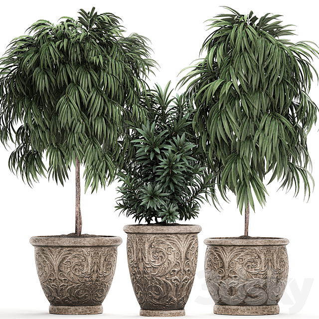 A collection of small ornamental trees for the garden in classic outdoor pots with Ficus ali. Oleander. Topiary. Set 491. 3DSMax File - thumbnail 1