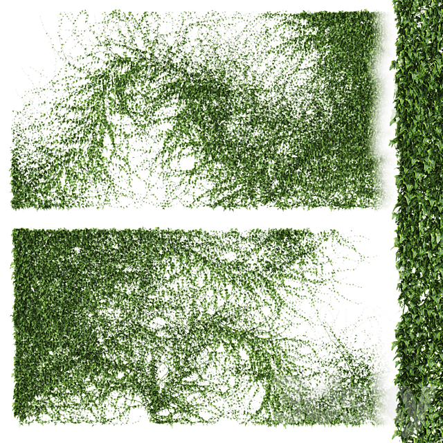 A long wall of ivy. 2 models 3ds Max - thumbnail 1