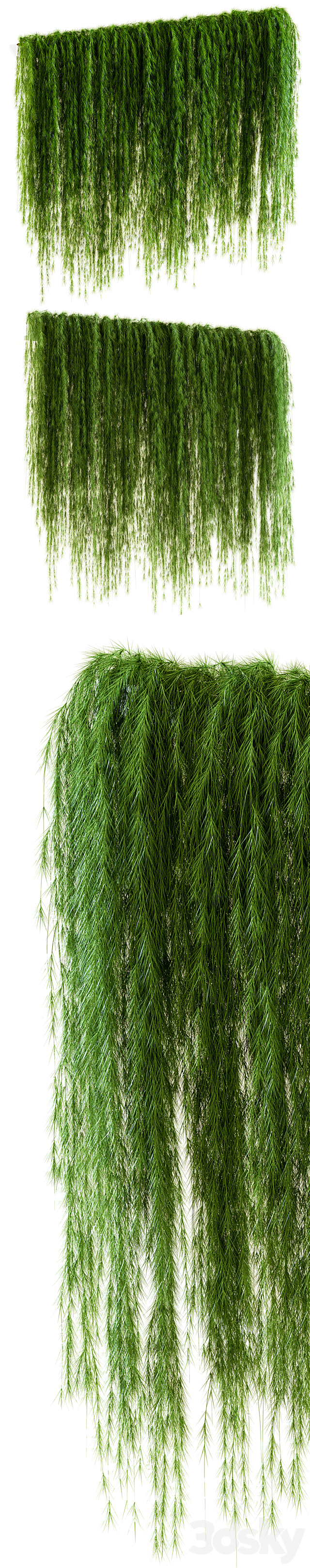 A wall of drooping plant branches 3DSMax File - thumbnail 2