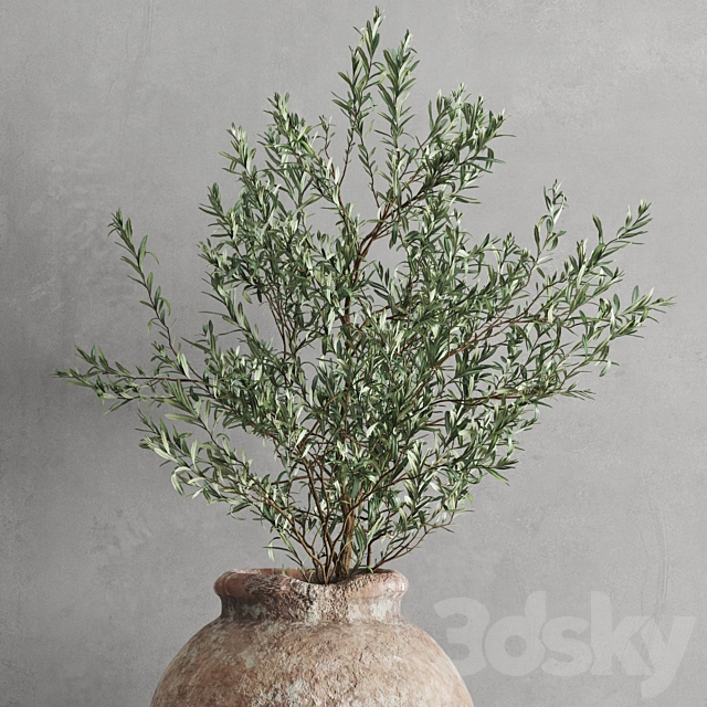 Antique vessel and olive branch 3ds Max - thumbnail 2