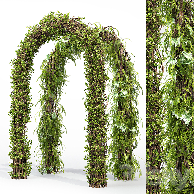 Arch hedge 3DSMax File - thumbnail 1