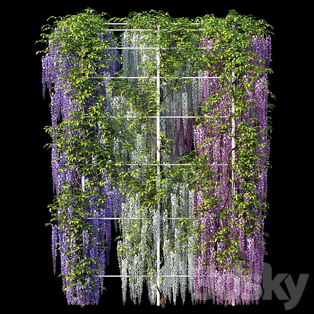 Arch with Wisteria 3DS Max Model - thumbnail 3