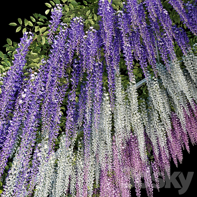 Arch with Wisteria 3DS Max Model - thumbnail 5