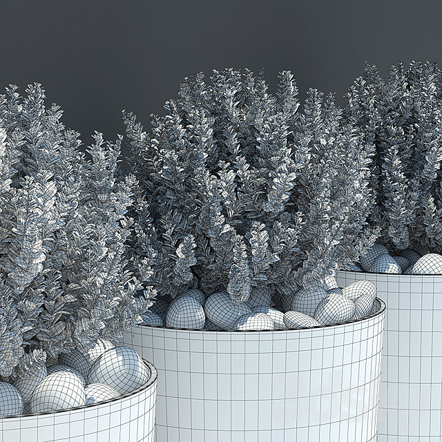 Ball plant 03 3ds Max - thumbnail 3