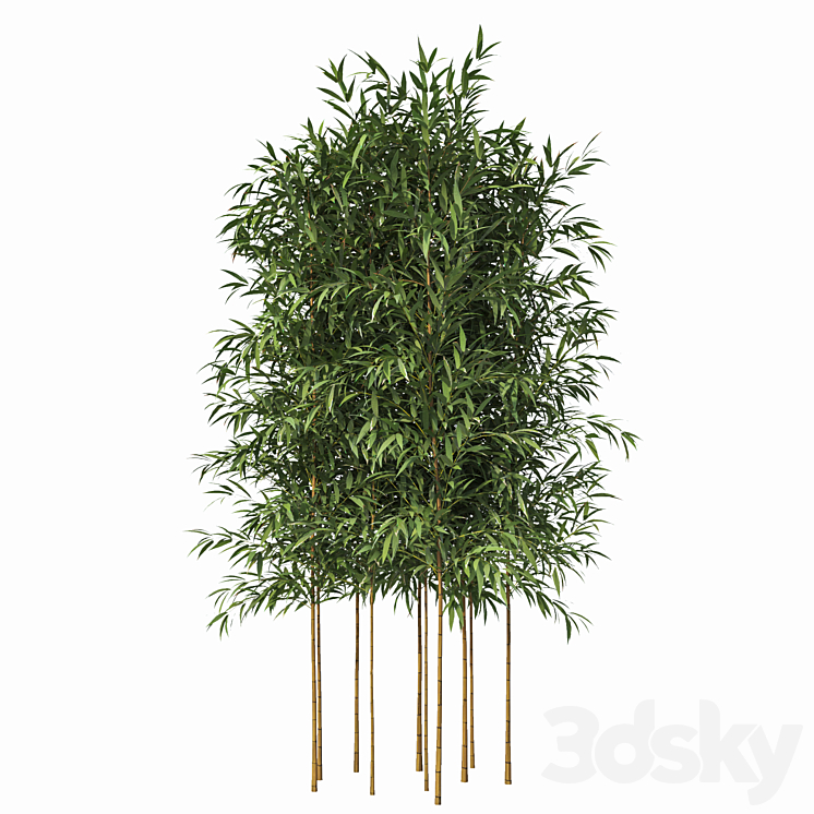 Bamboo 10 Models 3DS Max - thumbnail 2