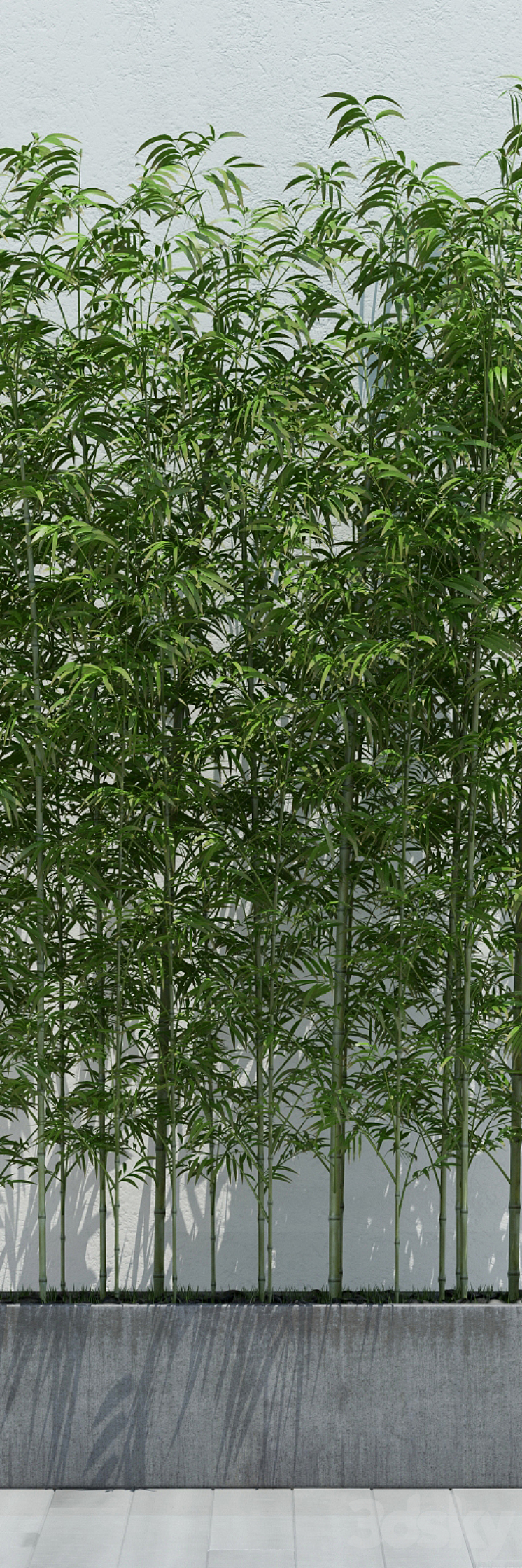 Bamboo 2 3DS Max - thumbnail 2