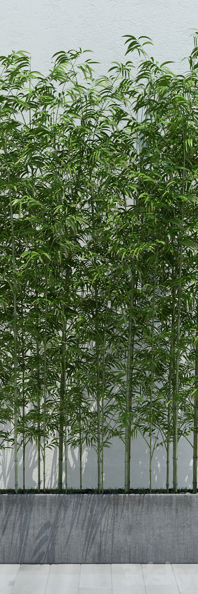 Bamboo 2 3DSMax File - thumbnail 2