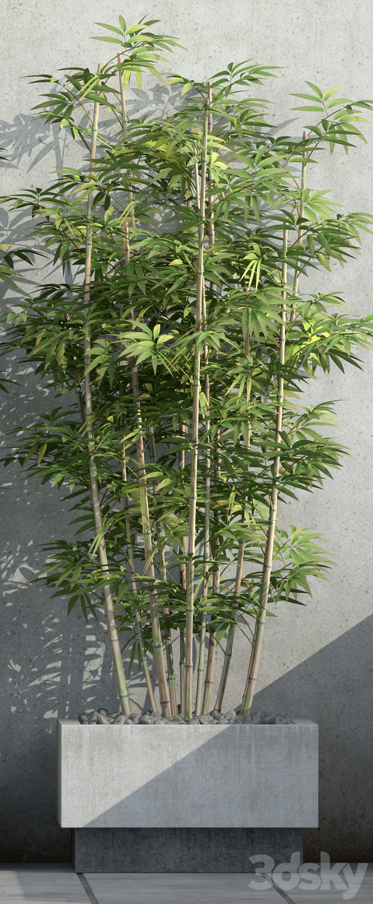 Bamboo 3 3DS Max - thumbnail 2