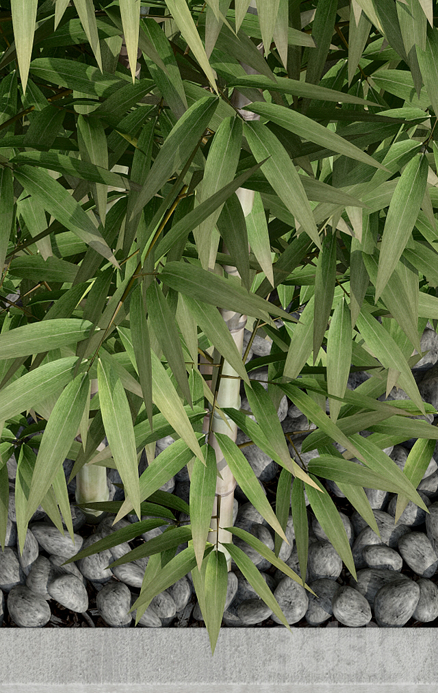 Bamboo 3 3DSMax File - thumbnail 3