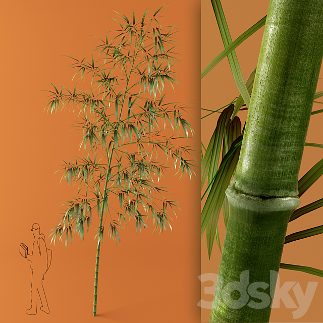 bamboo 3DS Max Model - thumbnail 1