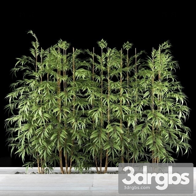 Bamboo Plants 3dsmax Download - thumbnail 1