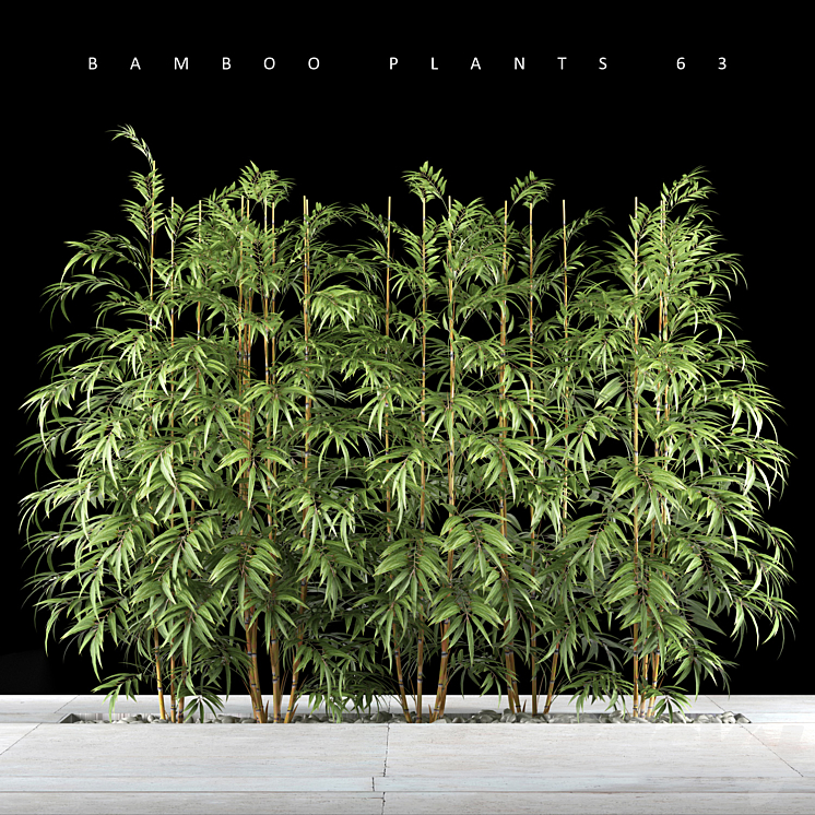 BAMBOO PLANTS 63 3DS Max - thumbnail 1
