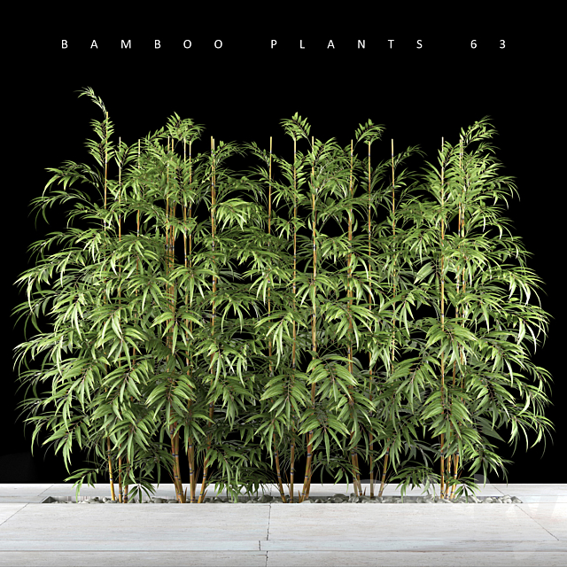 BAMBOO PLANTS 63 3DSMax File - thumbnail 1