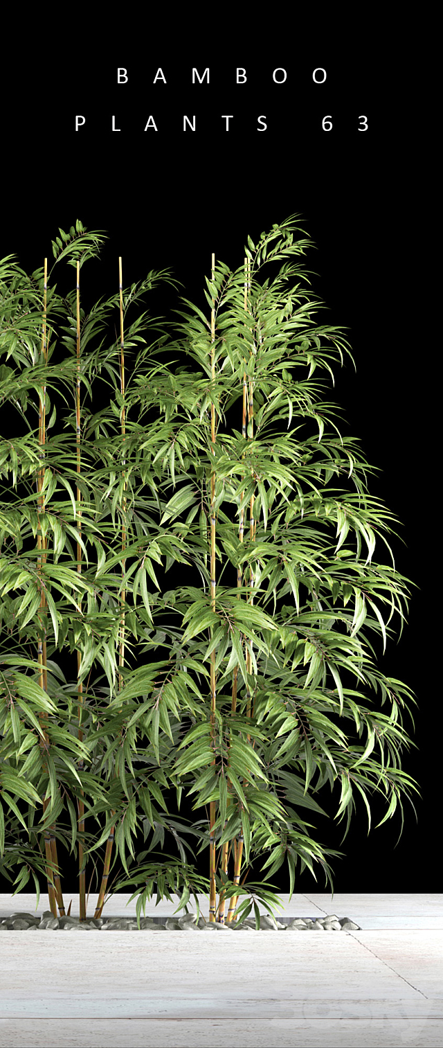 BAMBOO PLANTS 63 3DSMax File - thumbnail 2