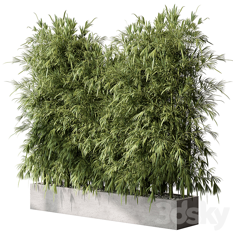 Bamboo Plants – Outdoor Plants 468 3DS Max Model - thumbnail 3