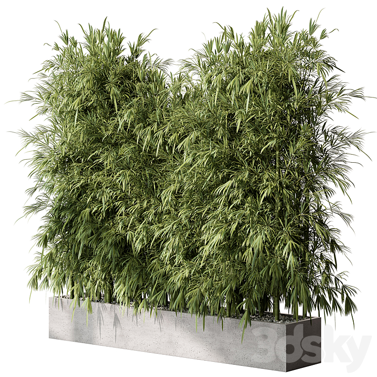 Bamboo Plants – Outdoor Plants 468 3DS Max - thumbnail 1