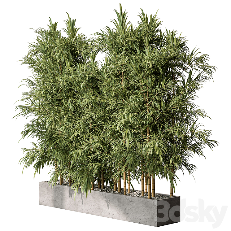 Bamboo Plants – Outdoor Plants 469 3DS Max Model - thumbnail 1