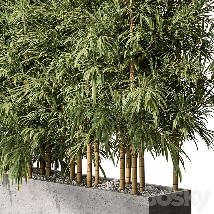 Bamboo Plants – Outdoor Plants 469 3DS Max - thumbnail 2